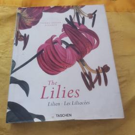 The Lilies Lilien Les Liliacees  （玫瑰品种画册）外文原版 8开精装