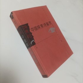 20世纪中国探索诗鉴赏（上册）
