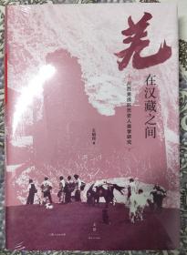 羌在汉藏之间：川西羌族的历史人类学研究（《华夏边缘》作者王明珂经典力作，川西羌族全解）作者签名本。