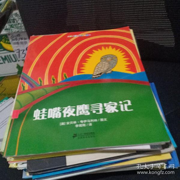 蛙嘴夜鹰寻家记/名家经典哲学绘本系列