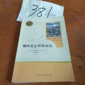 统编语文教材配套阅读 八年级下：钢铁是怎样炼成的/名著阅读课程化丛书