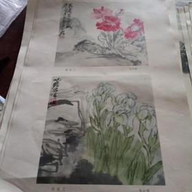 虞美人 蝶恋花朱屺蟾 活页
