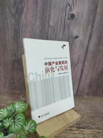 中国产业集群的演化与发展