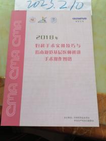 2018年 妇科手术实用技巧与指南规范基层医师巡讲手术操作图谱