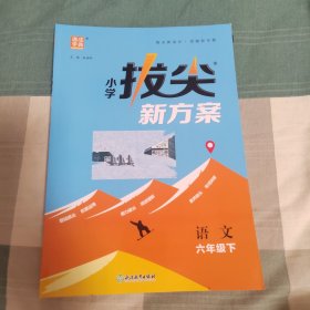 小学拔尖新方案语文六年级下