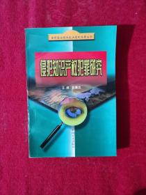 侵犯知识产权犯罪研究——当前惩治经济违法违纪犯罪丛书