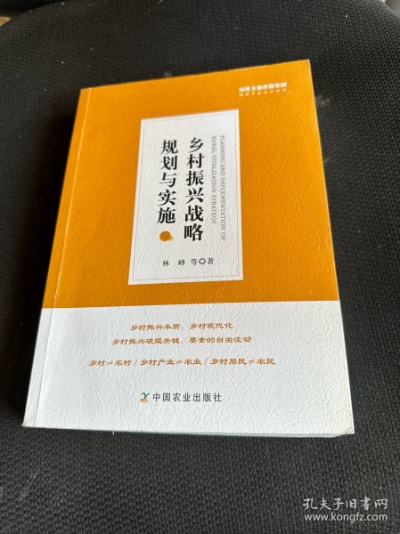 乡村振兴战略规划与实施/绿维文旅控股集团绿维开发运营丛书