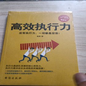 高效执行力（没有执行力，一切都是空谈！一部打造超强战斗力团队的宝典）