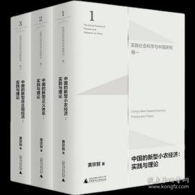 大学问黄宗智“实践社会科学与中国研究”三卷本（小农经济+正义体系+非正规经济）
