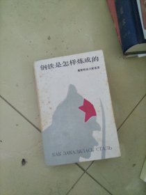 钢铁是怎样炼成的