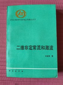 二维非定常流和激波(中国工程物理研究院科技丛书)