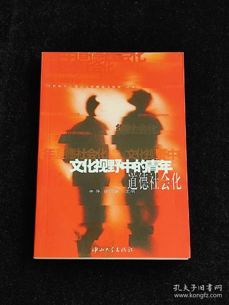 文化视野中的青年道德社会化/马克思主义理论与思想政治教育丛书