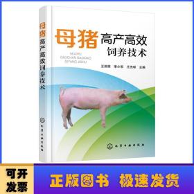 母猪高产高效饲养技术