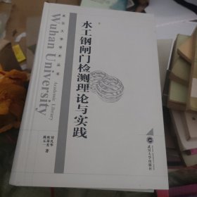 水工钢闸门检测理论与实践