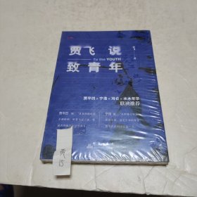 贾飞说 致青年