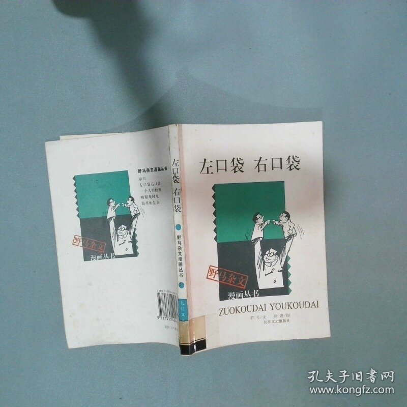 左口袋右口袋  符号文 长江文艺出版社