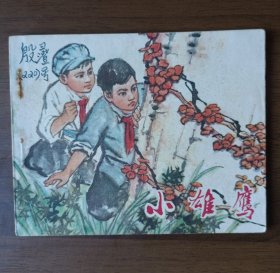 連環(huán)畫：小雄鷹