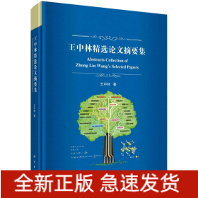 王中林精选论文摘要集