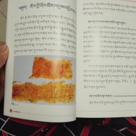 牛羊病看图防治(藏文版)