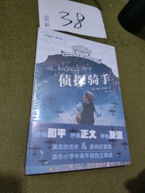 侦探骑手 梅子涵 摆渡船当代世界儿童文学金奖书系