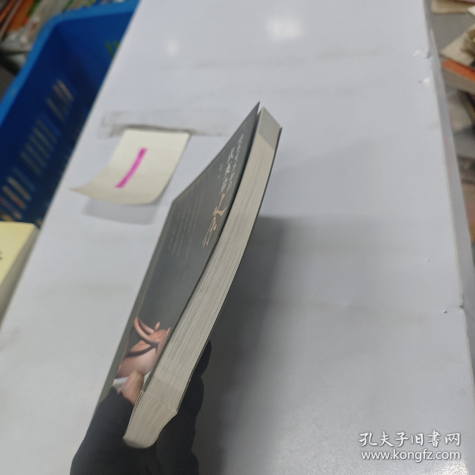 你不可不知的武夷岩茶