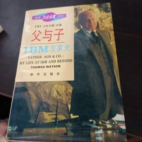 父与子—IBM发家史