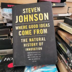 Where Good Ideas Come From：The Natural History of Innovation