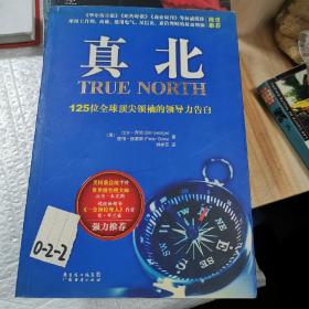 真北：125位全球顶尖领袖的领导力告白