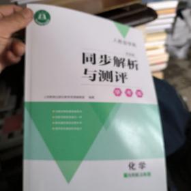 人教金学典 同步解析与测评.化学九年级上册