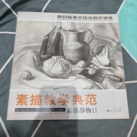 素描教学典范素描静物2...4.99元包邮，