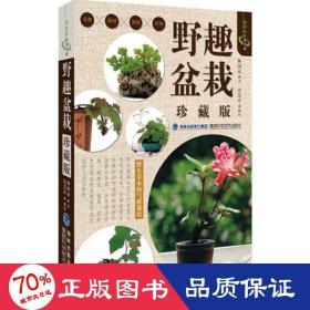 野趣盆栽 生活休閑 林國(guó)承