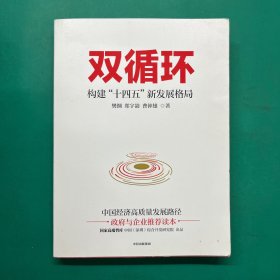 双循环构建十四五新发展格局双循环与我们的关系樊纲作品国家高端智库出品政府和企业推荐读本