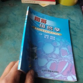 图解组织学