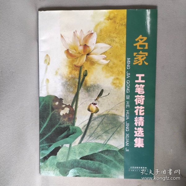 名家工笔荷花精选集