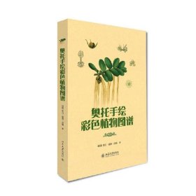 奥托手绘彩色植物图谱奥托·威廉·汤姆9787301199152