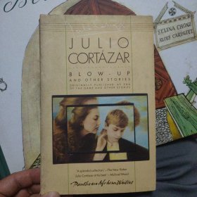 英文 JULIO CORTAZAR BLOW-UP AND OTHER STORIES