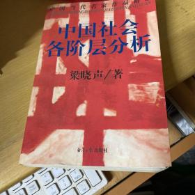 中国社会各阶层分析