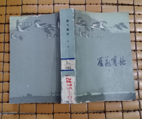 雁飞塞北