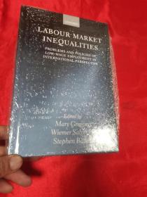 Labour Market Inequalities: Problems and Policies of Low-Wage Employment in International Perspective    （16开，精装）【详见图】