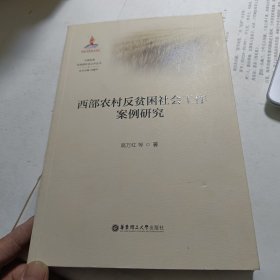 西部农村反贫困社会工作案例研究