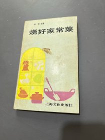 烧好家常菜