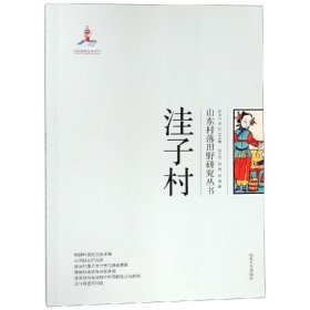 洼子村/山东村落田野研究丛书 9787560759234