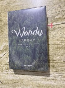 文明的碎片
