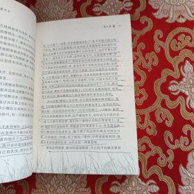 狼王梦