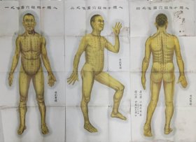中华针灸学社人体十四经穴图像差一张