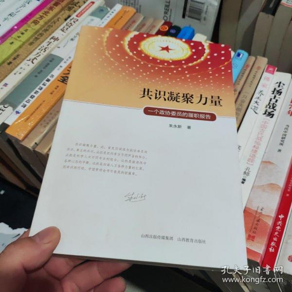 共识凝聚力量：一个政协委员的履职报告