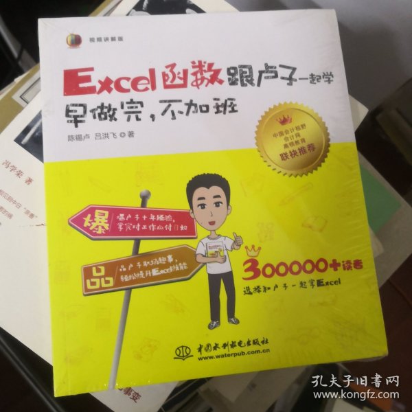 Excel函数跟卢子一起学　早做完，不加班（全彩视频讲解版）