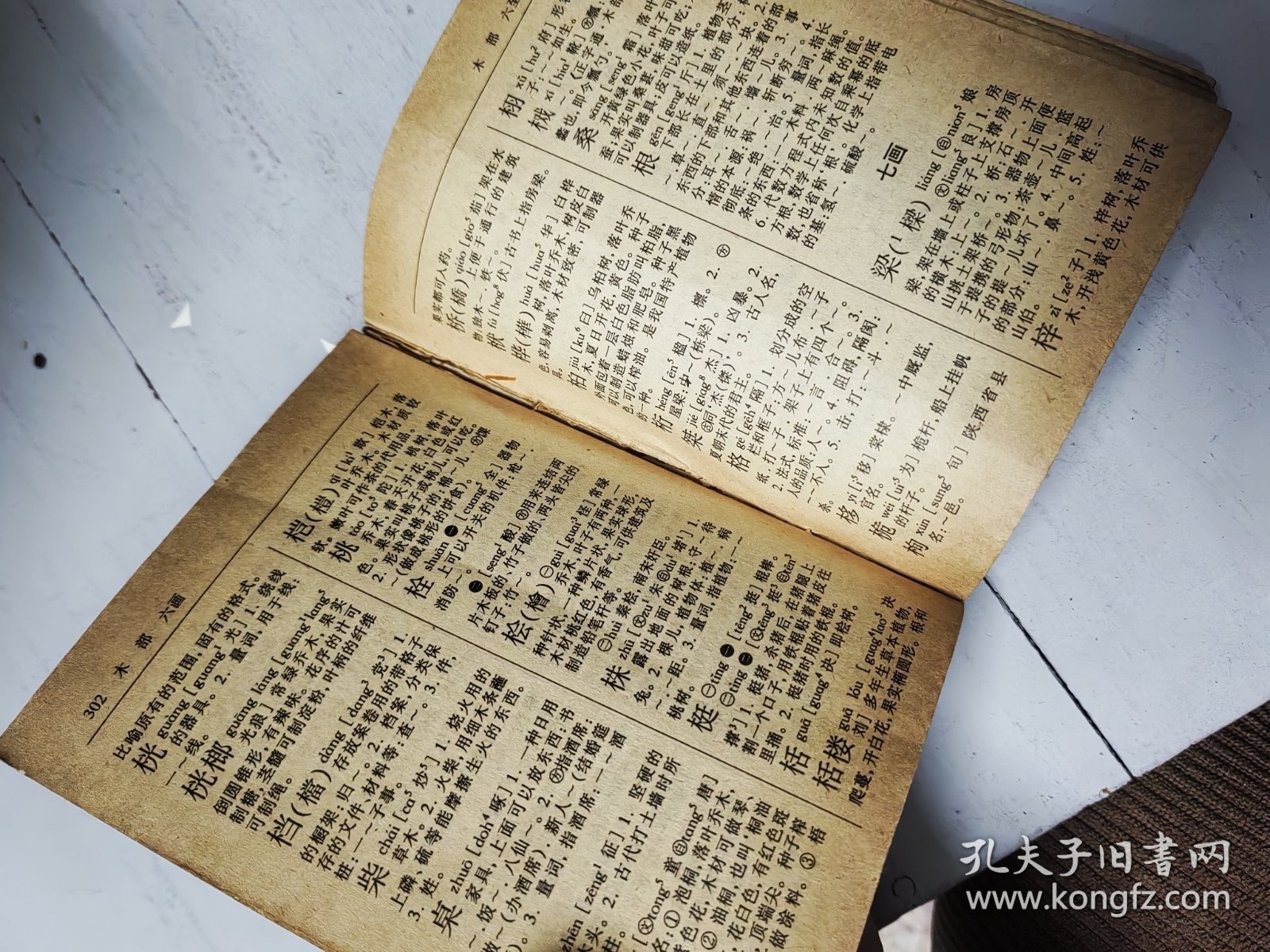 新编潮州音字典普通话对照