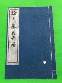 民国13年 珂罗版画册 《徐青藤花卉册》一册全 大开本 32.5*21.5cm