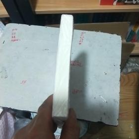 稚心 陆凉风